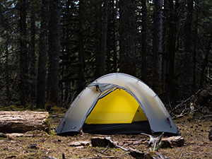 THE FREE SPIRITS_pickup